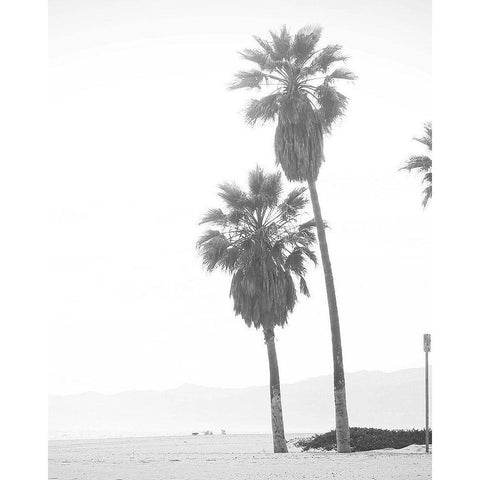 Palm Trees White Modern Wood Framed Art Print by Straatsma, Leah