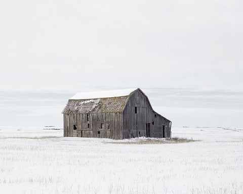 Barn in Winter White Modern Wood Framed Art Print with Double Matting by Straatsma, Leah