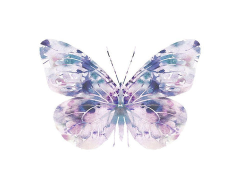 Butterfly 1 White Modern Wood Framed Art Print with Double Matting by Straatsma, Leah