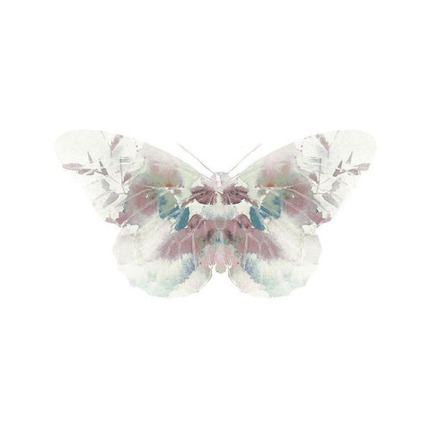 Butterfly 2 White Modern Wood Framed Art Print by Straatsma, Leah