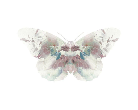 Butterfly 2 White Modern Wood Framed Art Print with Double Matting by Straatsma, Leah