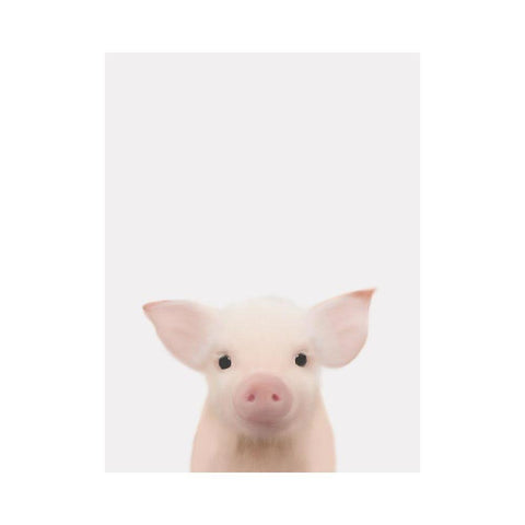 Piglet Face White Modern Wood Framed Art Print by Straatsma, Leah