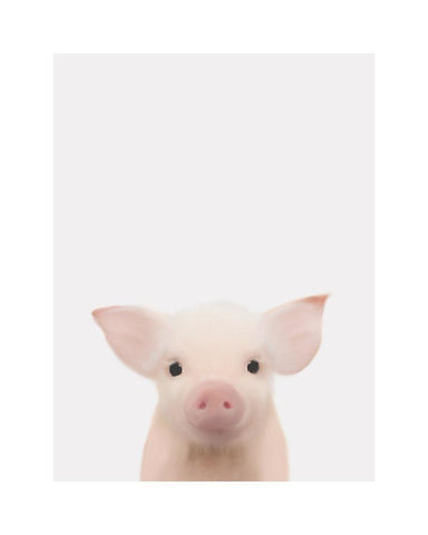 Piglet Face White Modern Wood Framed Art Print with Double Matting by Straatsma, Leah