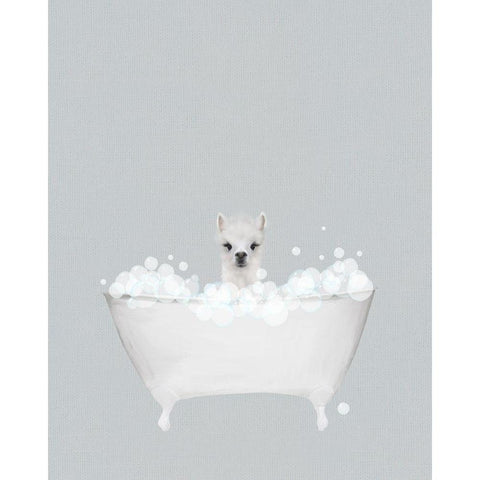 Alpaca Blue Bath White Modern Wood Framed Art Print by Straatsma, Leah