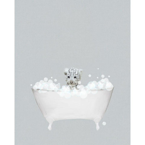 White Tiger Blue Bath White Modern Wood Framed Art Print by Straatsma, Leah