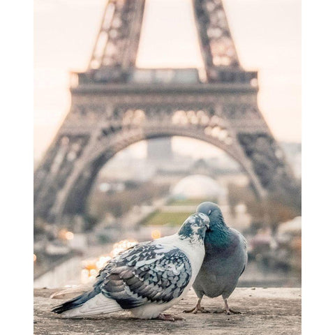 Love Birds in Paris Black Modern Wood Framed Art Print with Double Matting by Straatsma, Leah