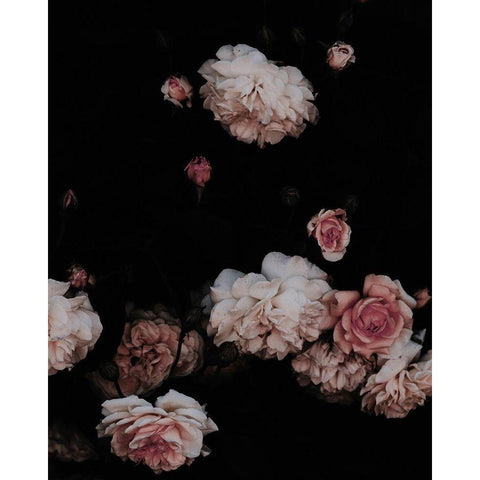 Moody Dusty Roses Gold Ornate Wood Framed Art Print with Double Matting by Straatsma, Leah