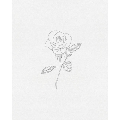 Black Rose 1 White Modern Wood Framed Art Print by Straatsma, Leah