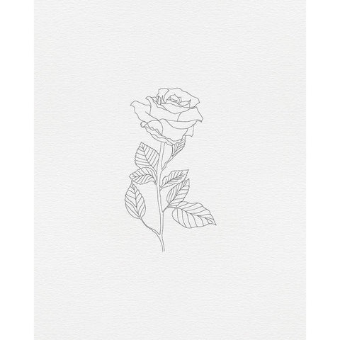 Black Rose 2 White Modern Wood Framed Art Print by Straatsma, Leah