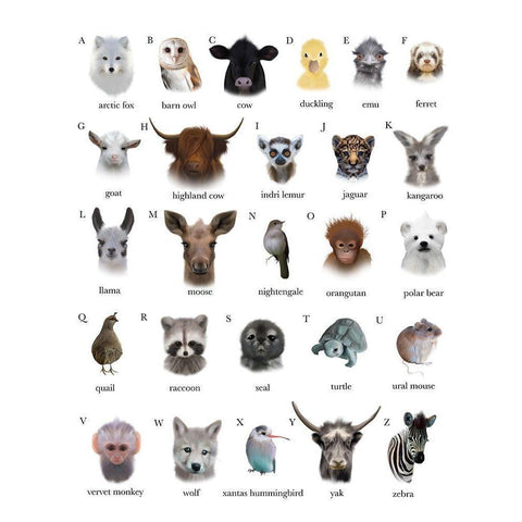 A to Z Animals White Background Black Modern Wood Framed Art Print with Double Matting by Straatsma, Leah