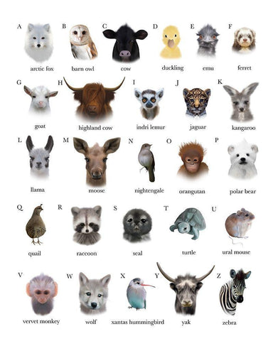 A to Z Animals White Background White Modern Wood Framed Art Print with Double Matting by Straatsma, Leah