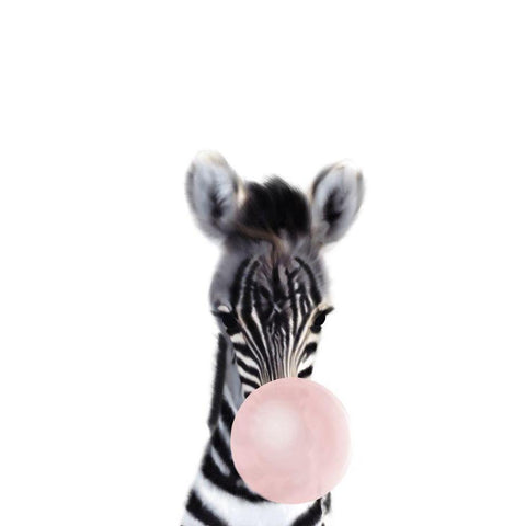 Baby Zebra Bubble Gum White Modern Wood Framed Art Print by Straatsma, Leah