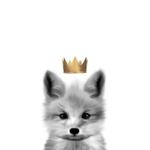 Crown Fox Black Modern Wood Framed Art Print with Double Matting by Straatsma, Leah