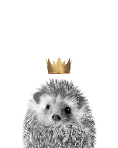 Crown Hedgehog White Modern Wood Framed Art Print with Double Matting by Straatsma, Leah