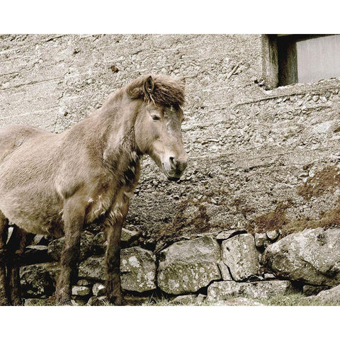 Brown Horse Rock Barn Gold Ornate Wood Framed Art Print with Double Matting by Straatsma, Leah