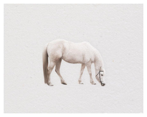 Horse Minimal White Modern Wood Framed Art Print with Double Matting by Straatsma, Leah