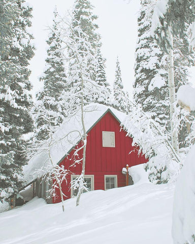 Red Winter Cabin Black Ornate Wood Framed Art Print with Double Matting by Straatsma, Leah