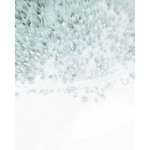 Winter Wonderland Gold Ornate Wood Framed Art Print with Double Matting by Straatsma, Leah