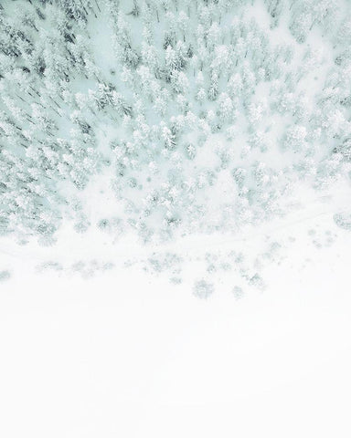 Winter Wonderland White Modern Wood Framed Art Print with Double Matting by Straatsma, Leah