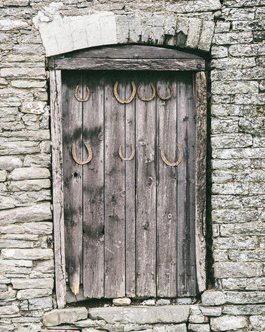 Horseshoes on Barn Door White Modern Wood Framed Art Print with Double Matting by Straatsma, Leah