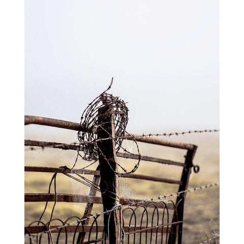 Rusty Fence White Modern Wood Framed Art Print by Straatsma, Leah