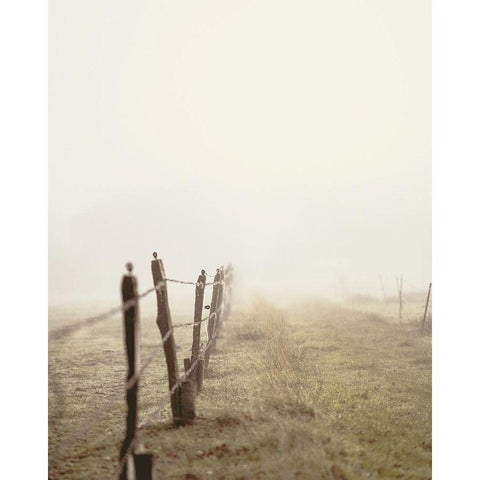 Beautiful Meadow Path with Old Fence Black Modern Wood Framed Art Print with Double Matting by Straatsma, Leah