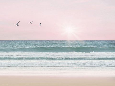 Pinky Beach With Birds Black Ornate Wood Framed Art Print with Double Matting by Straatsma, Leah