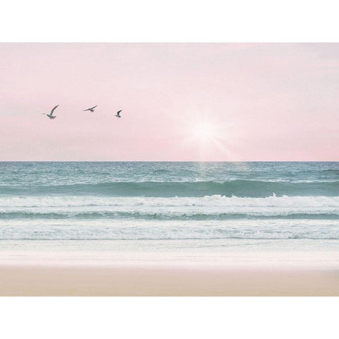 Pinky Beach With Birds Black Modern Wood Framed Art Print by Straatsma, Leah
