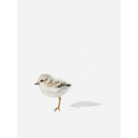 Baby Shorebird White Modern Wood Framed Art Print by Straatsma, Leah