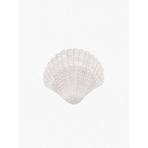 Sweet Seashell Black Modern Wood Framed Art Print with Double Matting by Straatsma, Leah