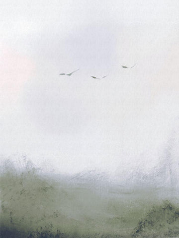 Birds Flying Over a Field 1 White Modern Wood Framed Art Print with Double Matting by Straatsma, Leah