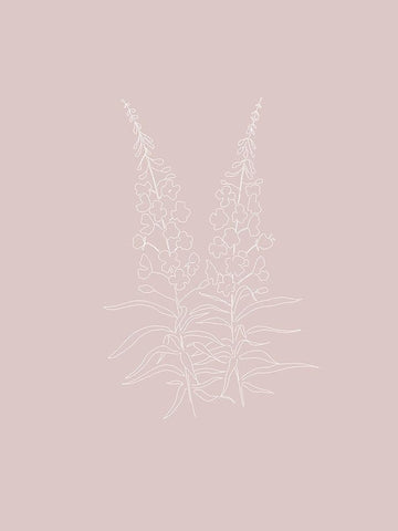 Line Wild Flowers Pink White Modern Wood Framed Art Print with Double Matting by Straatsma, Leah