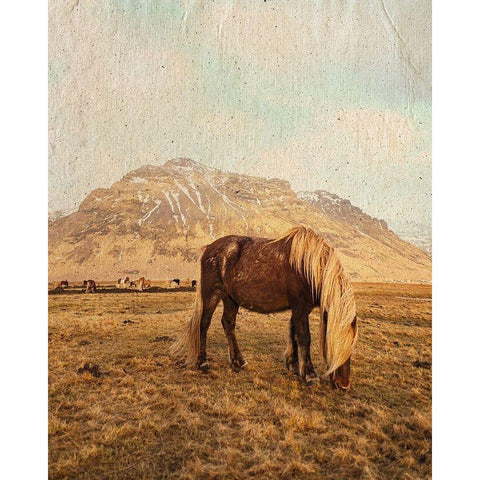 Home on the Range Black Modern Wood Framed Art Print with Double Matting by Straatsma, Leah