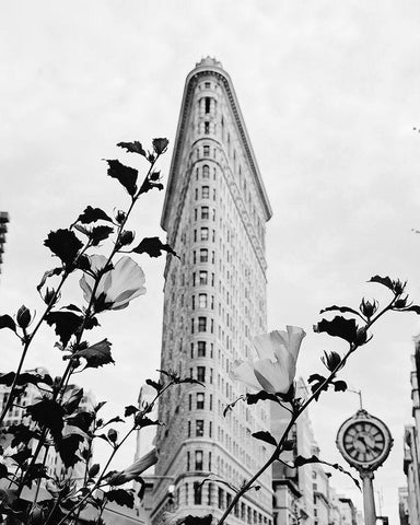 NYC Flatiron White Modern Wood Framed Art Print with Double Matting by Straatsma, Leah