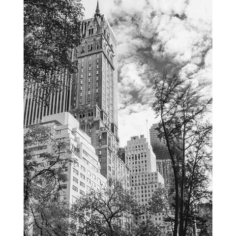 NYC Park Ave Gold Ornate Wood Framed Art Print with Double Matting by Straatsma, Leah