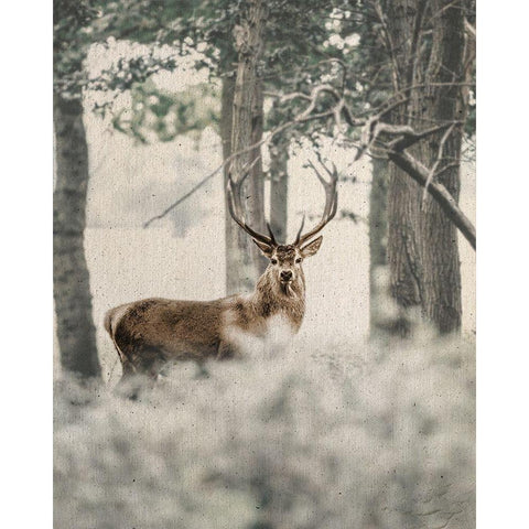 Textured Deer White Modern Wood Framed Art Print by Straatsma, Leah