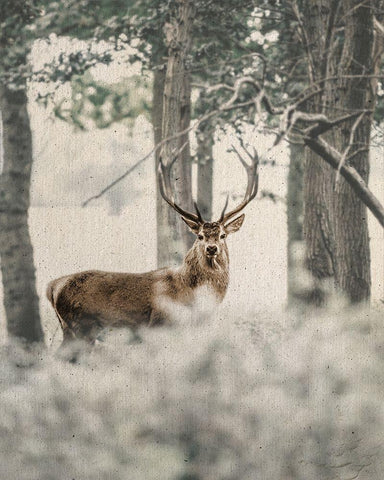 Textured Deer Black Ornate Wood Framed Art Print with Double Matting by Straatsma, Leah