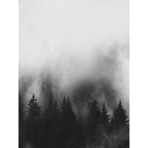 Trees and Smoke Black Modern Wood Framed Art Print with Double Matting by Straatsma, Leah