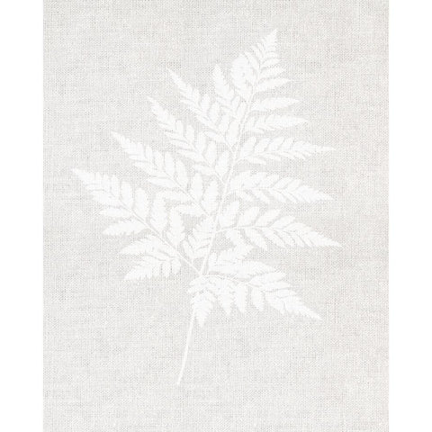 Fern Wall Art White Modern Wood Framed Art Print by Straatsma, Leah