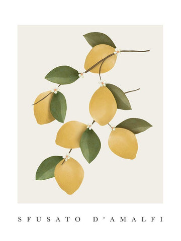 Amalfi Lemons White Modern Wood Framed Art Print with Double Matting by Straatsma, Leah