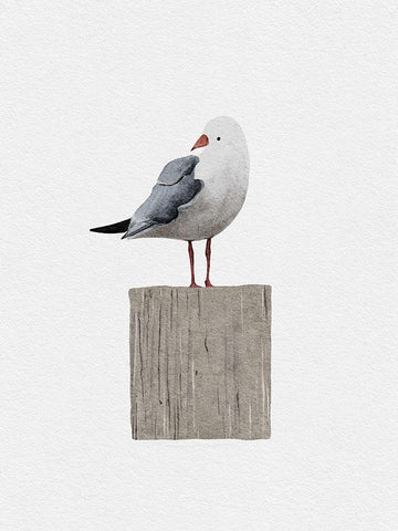 Seagull White Modern Wood Framed Art Print with Double Matting by Straatsma, Leah