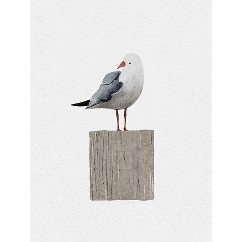 Seagull White Modern Wood Framed Art Print by Straatsma, Leah