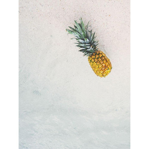 Rosy Pineapple. Black Modern Wood Framed Art Print with Double Matting by Straatsma, Leah