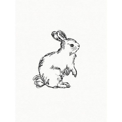 Vintage Hare White Modern Wood Framed Art Print by Straatsma, Leah