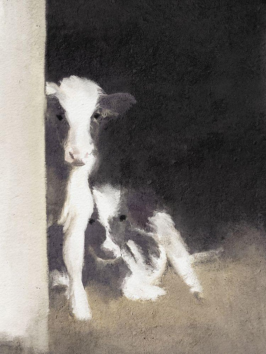 Image Only