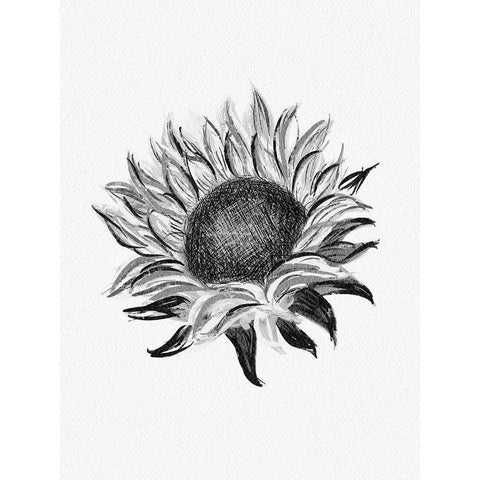 Sunflower Black Modern Wood Framed Art Print with Double Matting by Straatsma, Leah