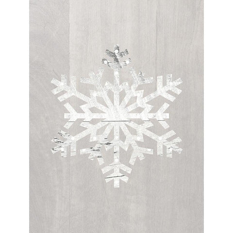 Wooden Snowflake Driftwood 1 Black Modern Wood Framed Art Print with Double Matting by Straatsma, Leah