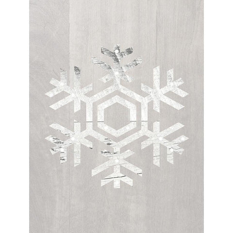 Wooden Snowflake Driftwood 2 Black Modern Wood Framed Art Print with Double Matting by Straatsma, Leah