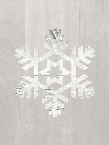 Wooden Snowflake Driftwood 3 White Modern Wood Framed Art Print with Double Matting by Straatsma, Leah