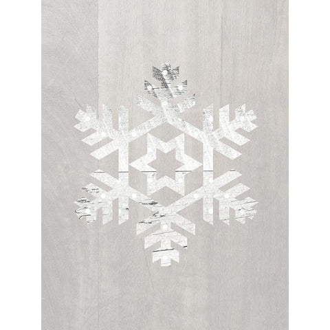 Wooden Snowflake Driftwood 3 Black Modern Wood Framed Art Print with Double Matting by Straatsma, Leah